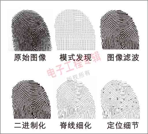 圖4：指紋處理的次序。