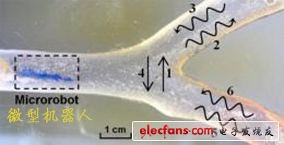 科學(xué)家開發(fā)微型機(jī)器人進(jìn)入人體血管清除淤積