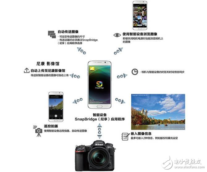 尼康D500怎么樣：高速攝影單反哪家強？尼康D500深度評測